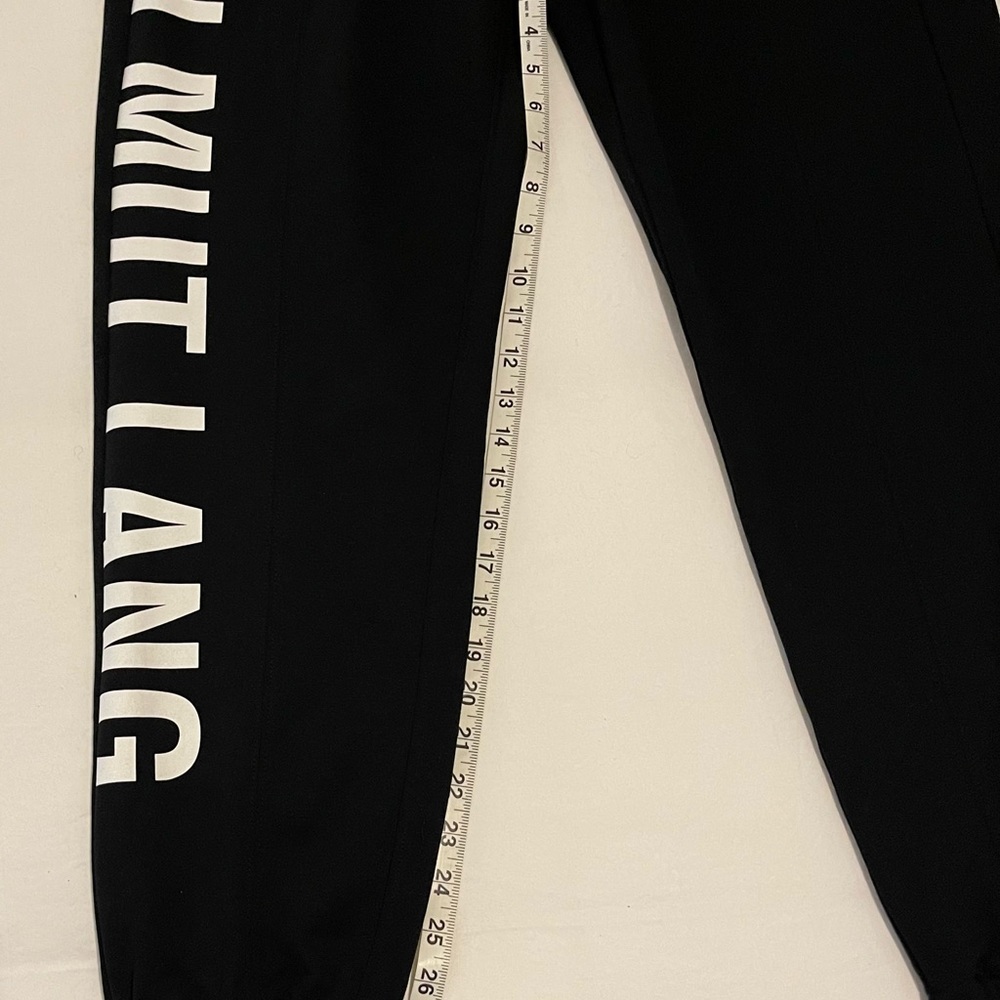 *SOLD* HELMUT LANG SEAM SWEATPANTS SZ M (MSRP $295) - Picture 5 of 13